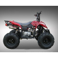 Niños pequeños de 50cc Racing Quad ATV (MDL GA002-5)